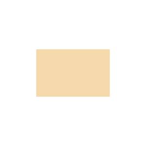 Peinture TO-YE026 Y73 Latex Mate Intérieure Adam Materiaux murs et plafonds/ seau 5L