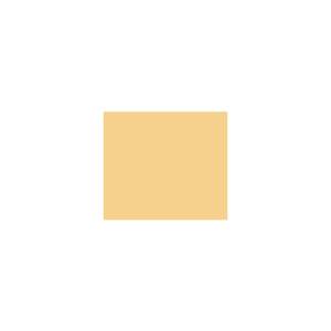 Peinture TO-YE027 Y68 Latex Mate Intérieure Adam Materiaux murs et plafonds/ seau 5L