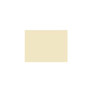 Peinture TO-YE028 Y79 Latex Mate Intérieure Adam Materiaux murs et plafonds/ seau 5L