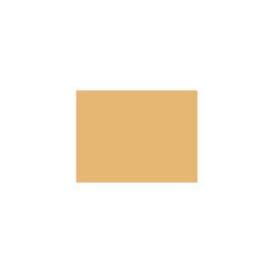 Peinture TO-YE029 Y53 Latex Mate Intérieure Adam Materiaux murs et plafonds/ seau 5L