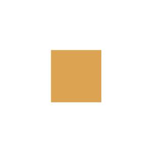 Peinture TO-YE030 Y44 Latex Mate Intérieure Adam Materiaux murs et plafonds/ seau 5L