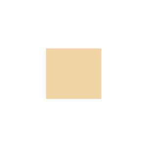 Peinture TO-YE031 Y70 Latex Mate Intérieure Adam Materiaux murs et plafonds/ seau 5L