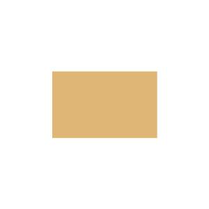 Peinture TO-YE032 Y52 Latex Mate Intérieure Adam Materiaux murs et plafonds/ seau 5L