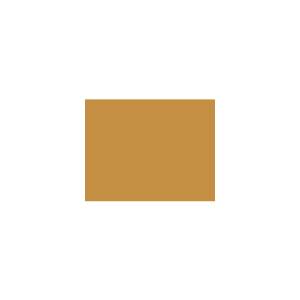 Peinture TO-YE033 Y33 Latex Mate Intérieure Adam Materiaux murs et plafonds/ seau 5L