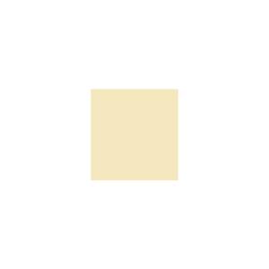 Peinture TO-OL001 Y81 Latex Satiné Intérieure Adam Materiaux murs et plafonds/ seau 5L