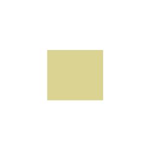 Peinture TO-OL011 Y63 Latex Satiné Intérieure Adam Materiaux murs et plafonds/ seau 5L