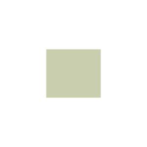 Peinture TO-OL020 Y60 Latex Satiné Intérieure Adam Materiaux murs et plafonds/ seau 5L