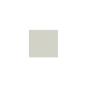 Peinture TO-OL022 Y64 Latex Satiné Intérieure Adam Materiaux murs et plafonds/ seau 5L
