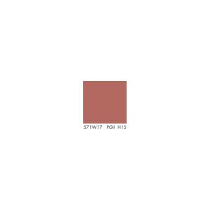 Crépis Knauf Conni S 571w17 1.5mm siliconé/ seau 25kg   