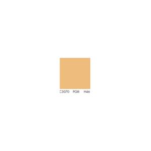 Primer C3070 KNAUF putzgrunt H=46%/ seau 20kg