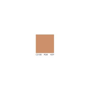 Primer C3100 KNAUF putzgrunt H=27%/ seau 20kg