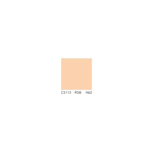 Primer C3113 KNAUF putzgrunt H=62%/ seau 20kg