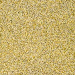 Crepis SOUS-BASSEMENT M824 Adam Materiaux/ seau 25kg